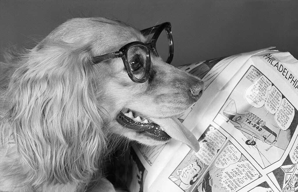 Estas son las noticias más leídas en Forbes esta semana