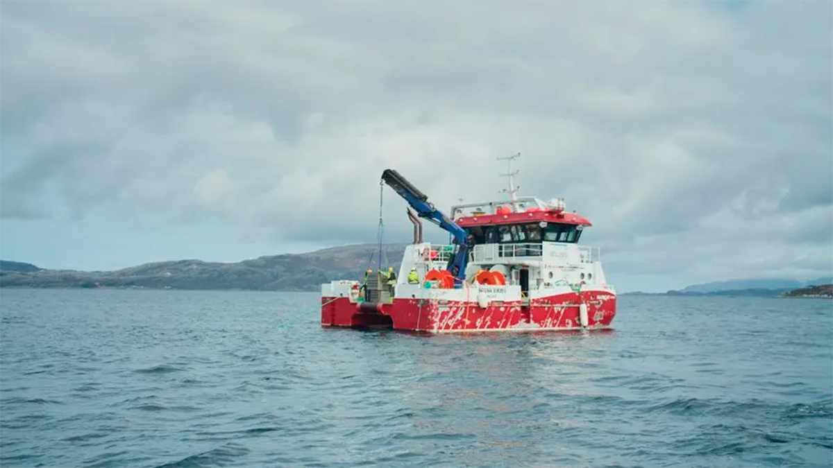 El primer vino envejecido en el Ártico acaba de ser rescatado del fondo del mar de Noruega