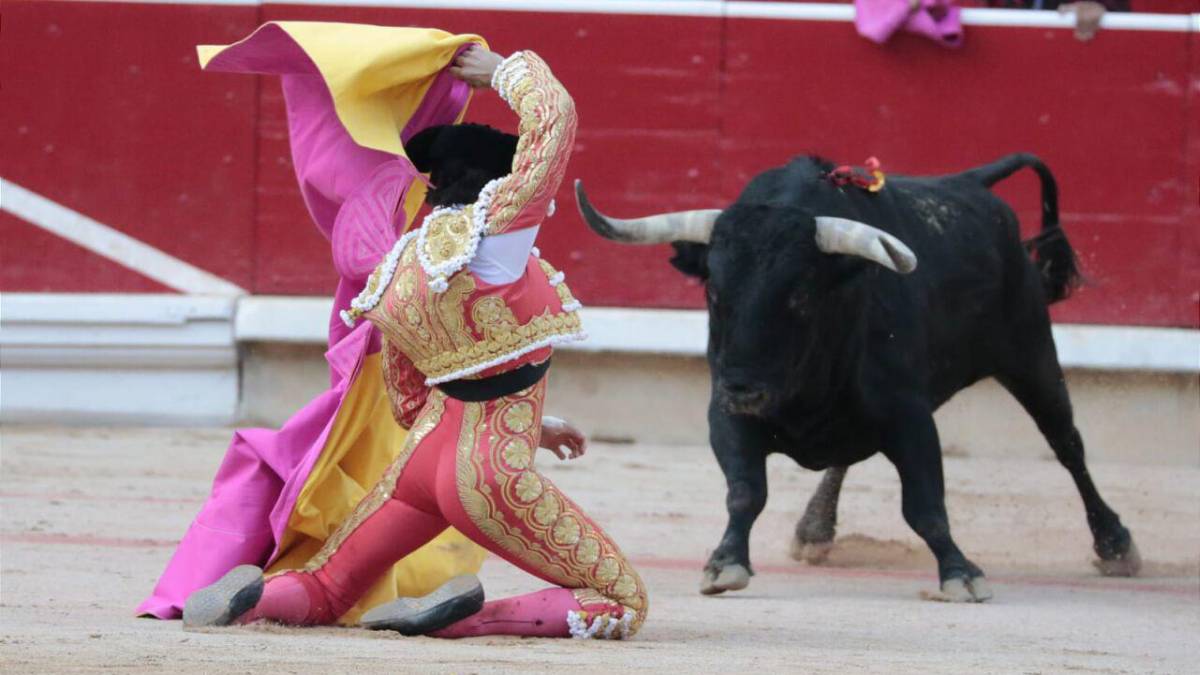Diez razones porque los chavales llenan las plazas de toros